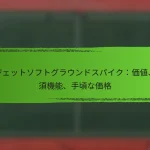 バジェットソフトグラウンドスパイク：価値、必須機能、手頃な価格